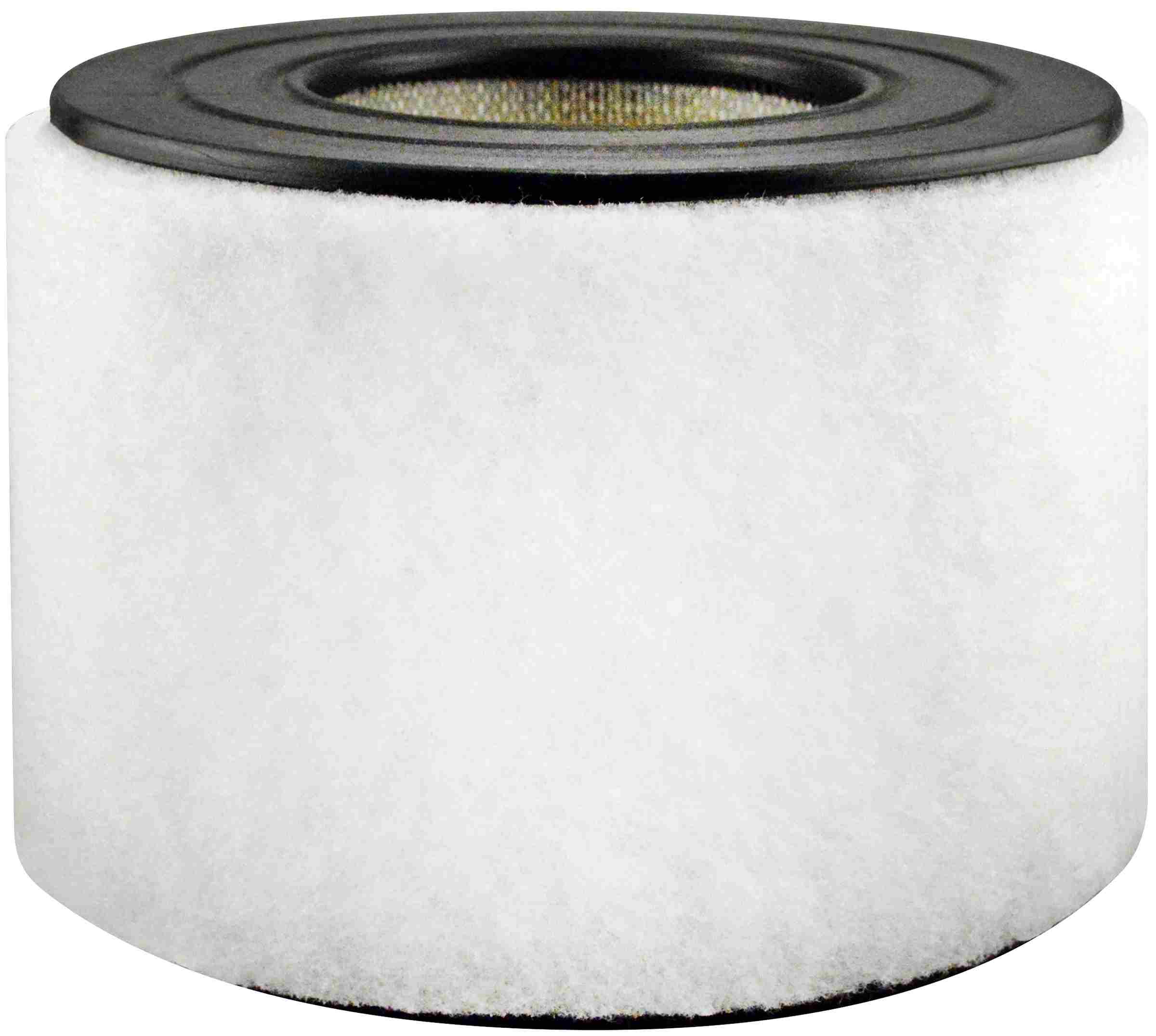 Baldwin Air Filter PA3890