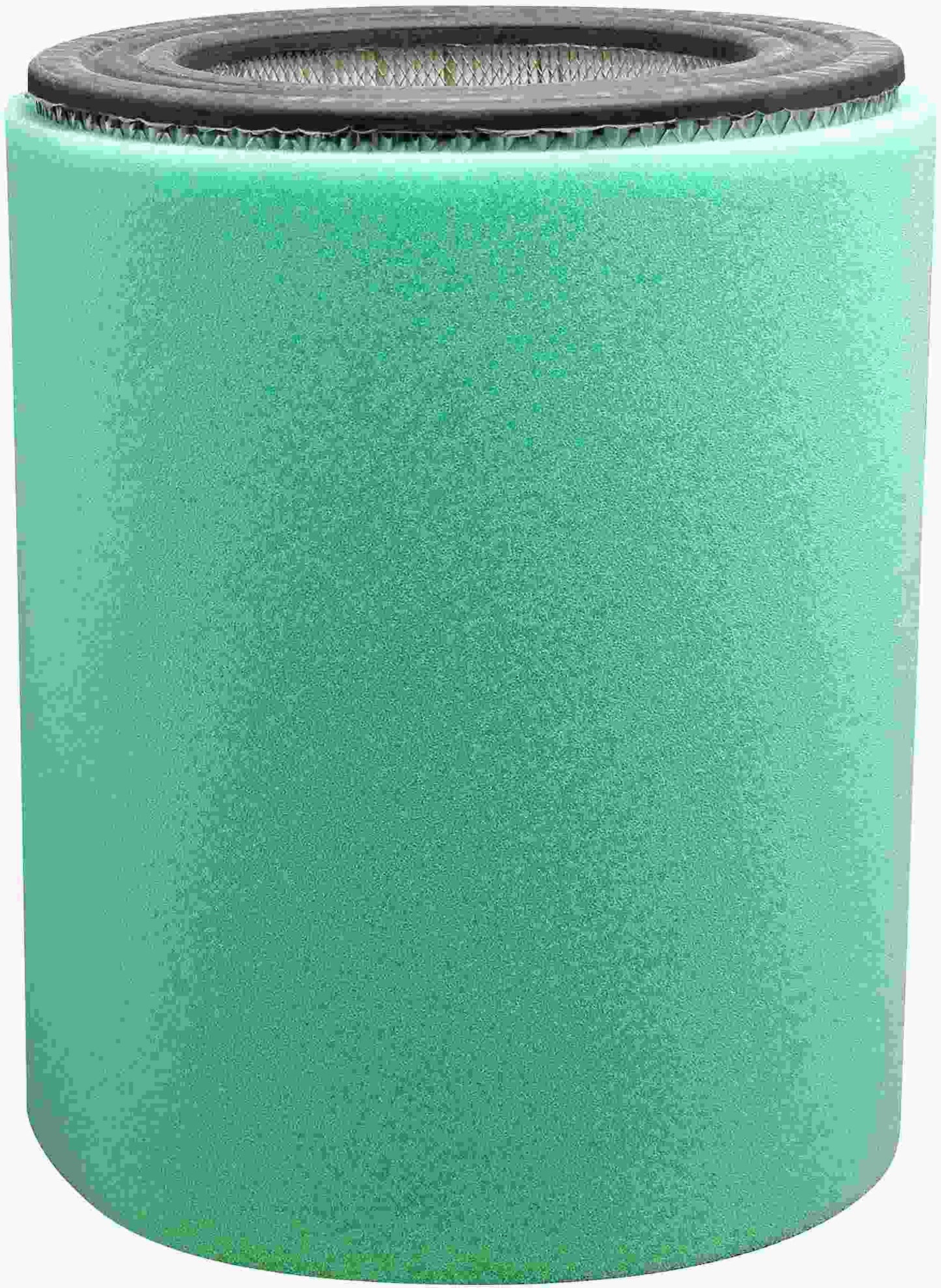 Baldwin Air Filter PA3956