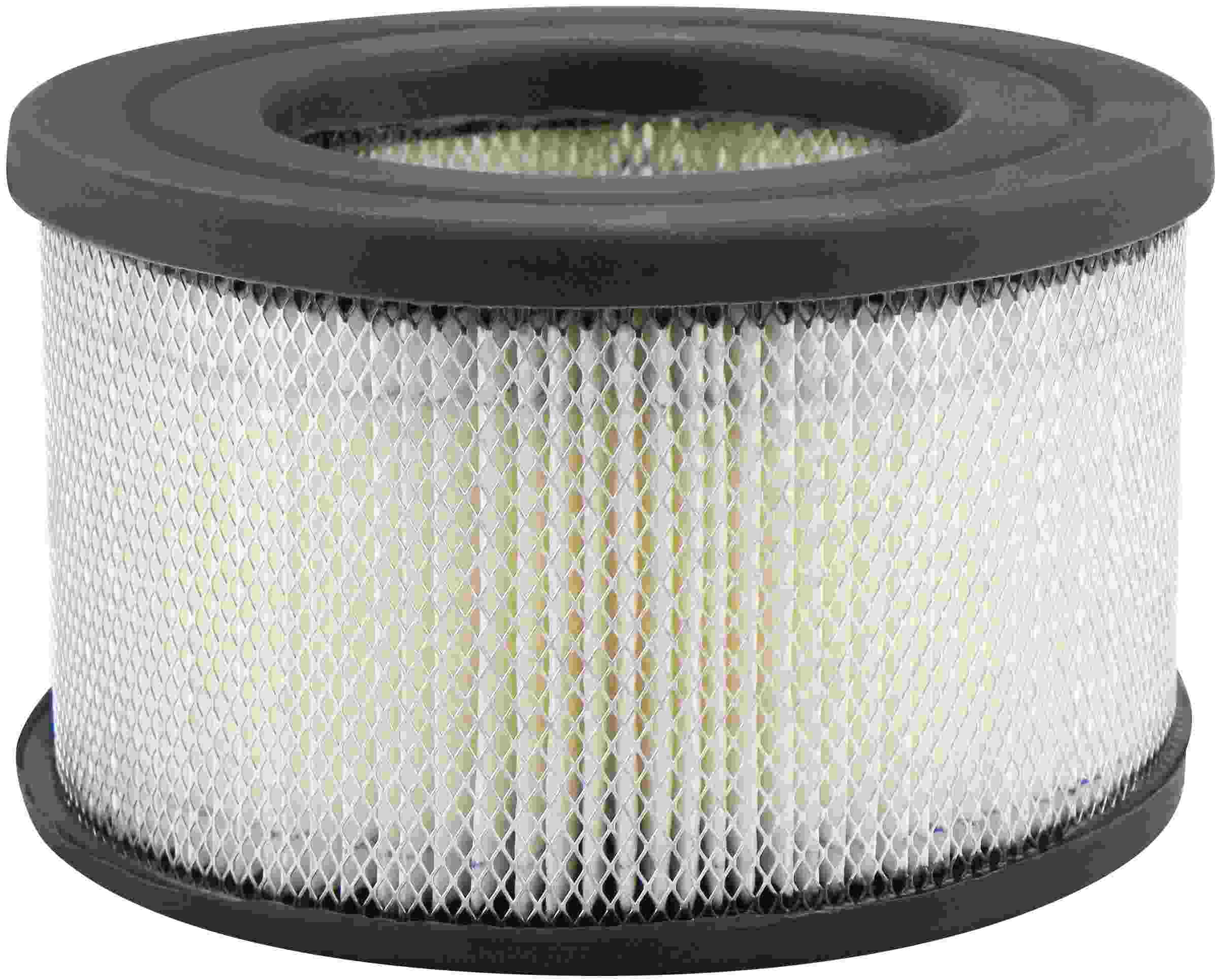 Baldwin Air Filter PA4166