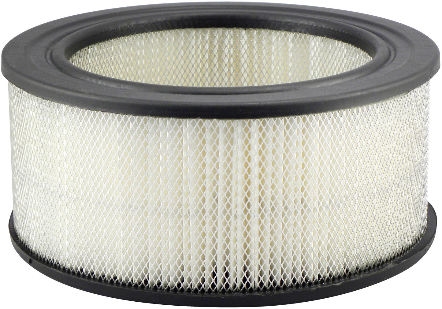 Baldwin Air Filter PA612 main image