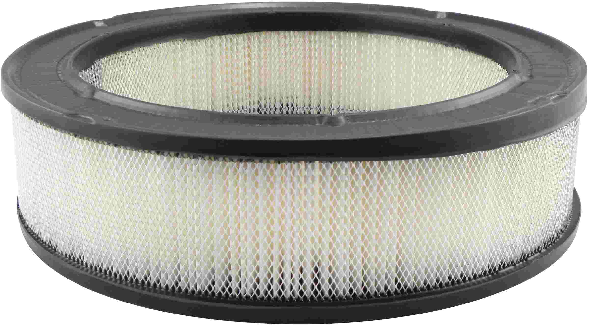 Baldwin Air Filter PA615