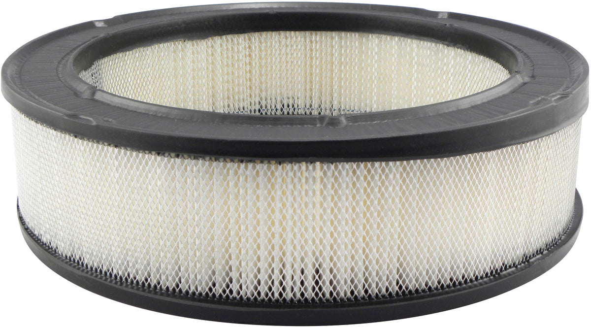 Baldwin Air Filter PA615