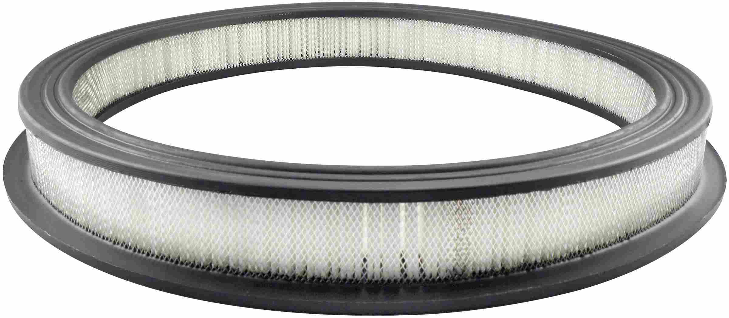 Baldwin Air Filter PA631