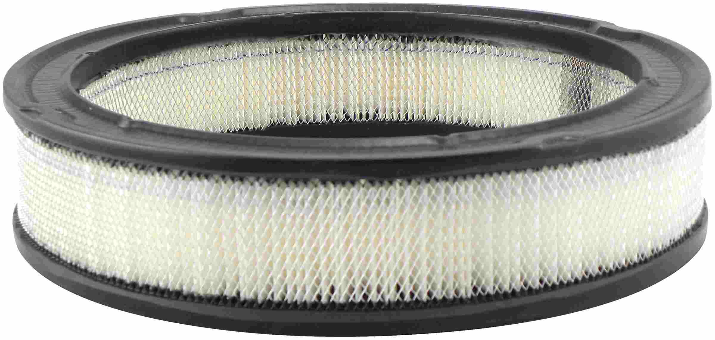 Baldwin Air Filter PA642