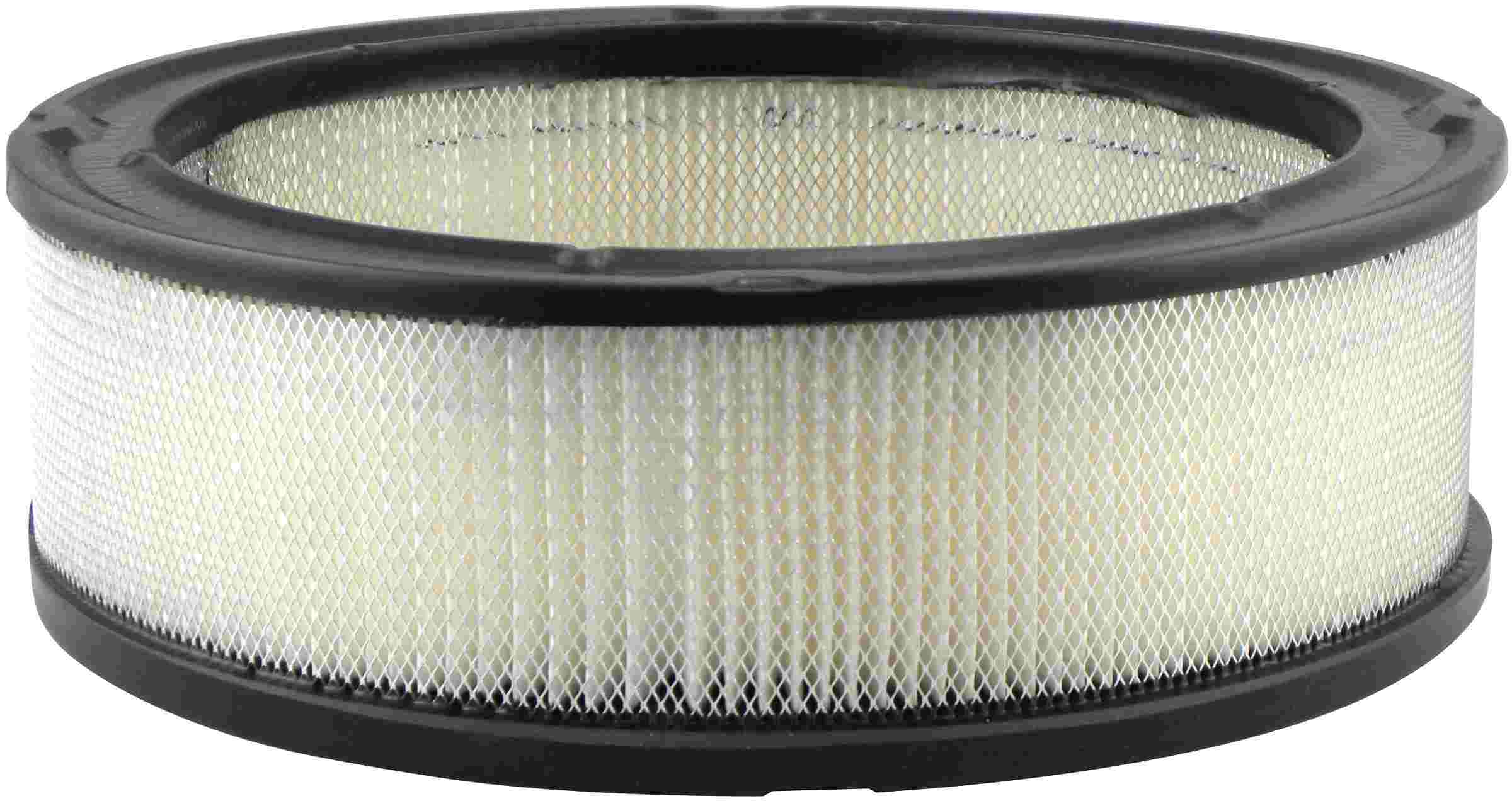 Baldwin Air Filter PA648