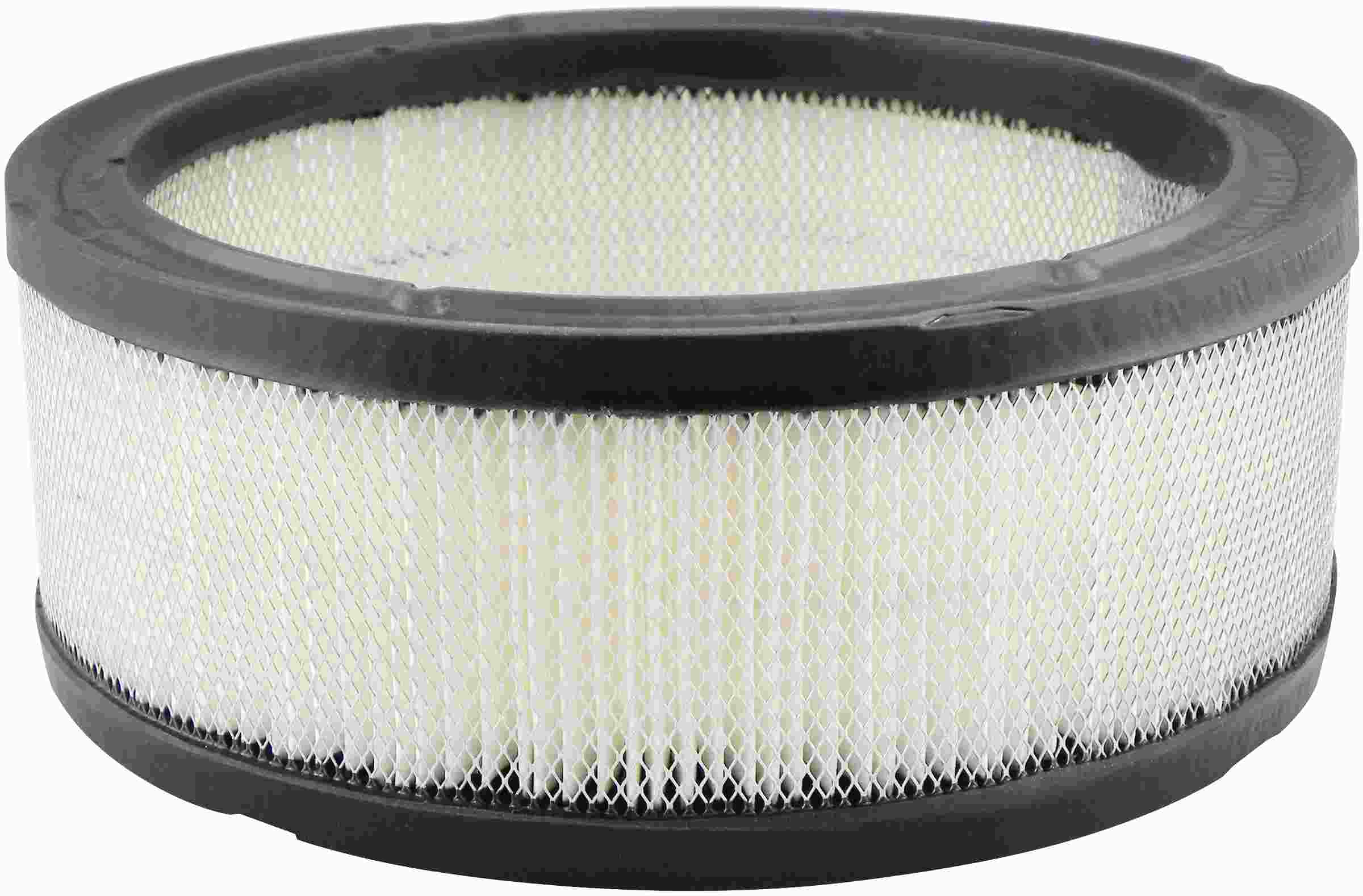 Baldwin Air Filter PA650