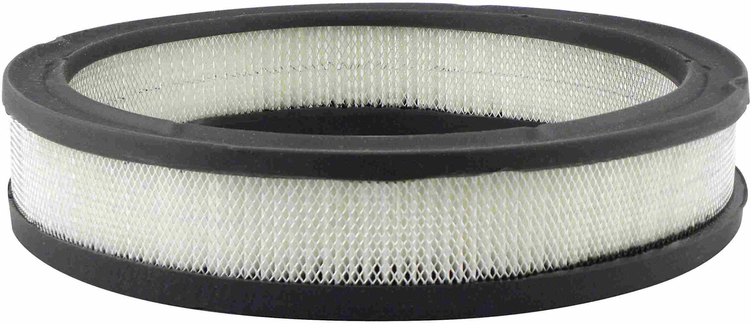 Baldwin Air Filter PA658