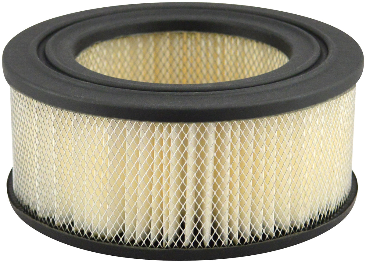 Baldwin Air Filter PA696 main image