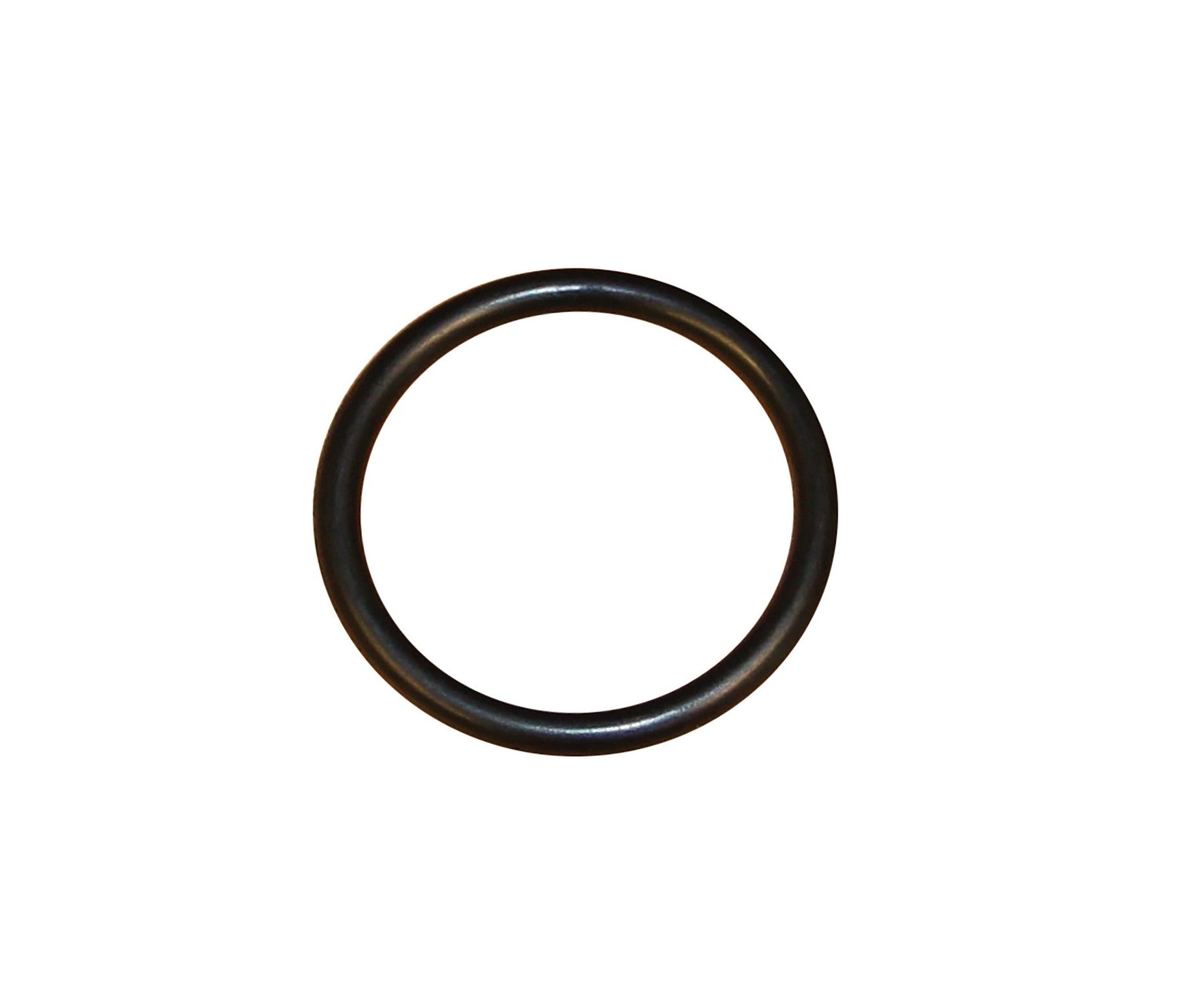 CRP Auto Trans Modulator Valve Seal