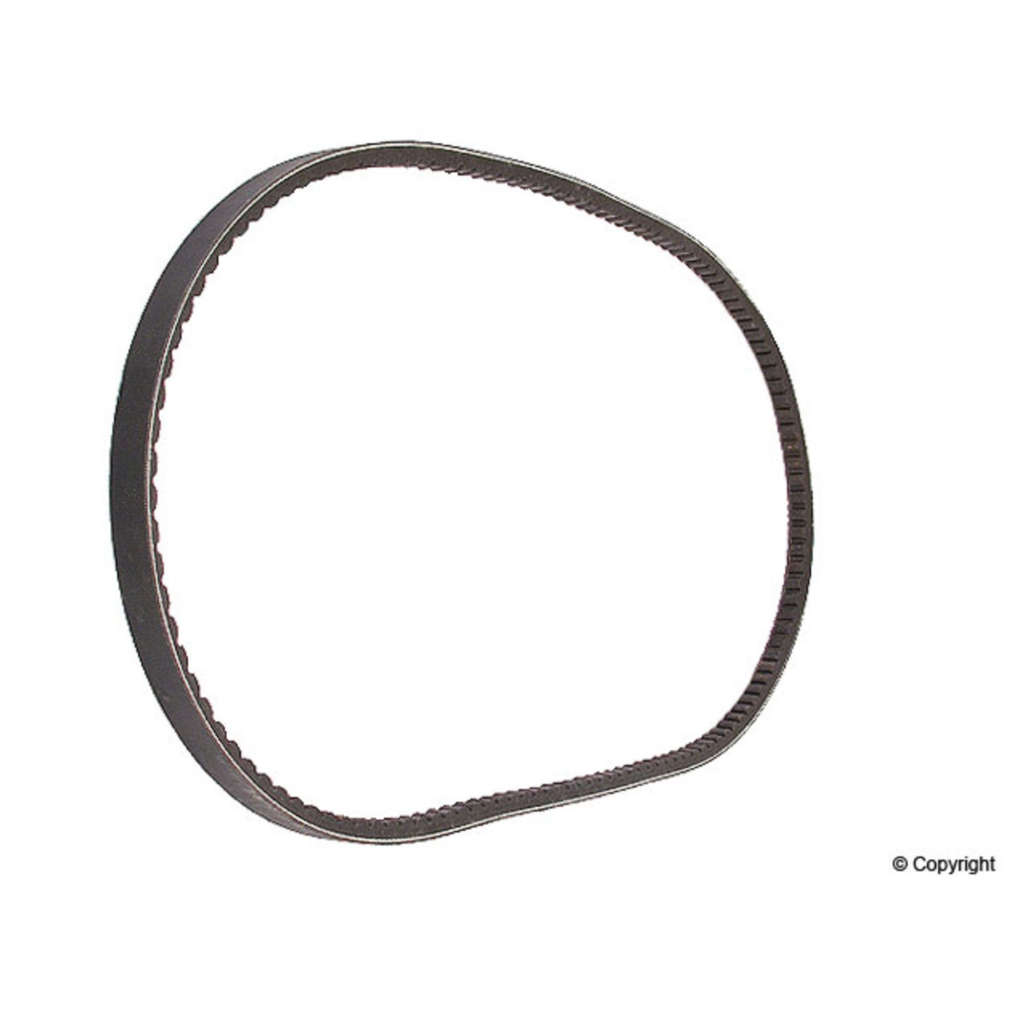 Continental Accessory Drive Belt