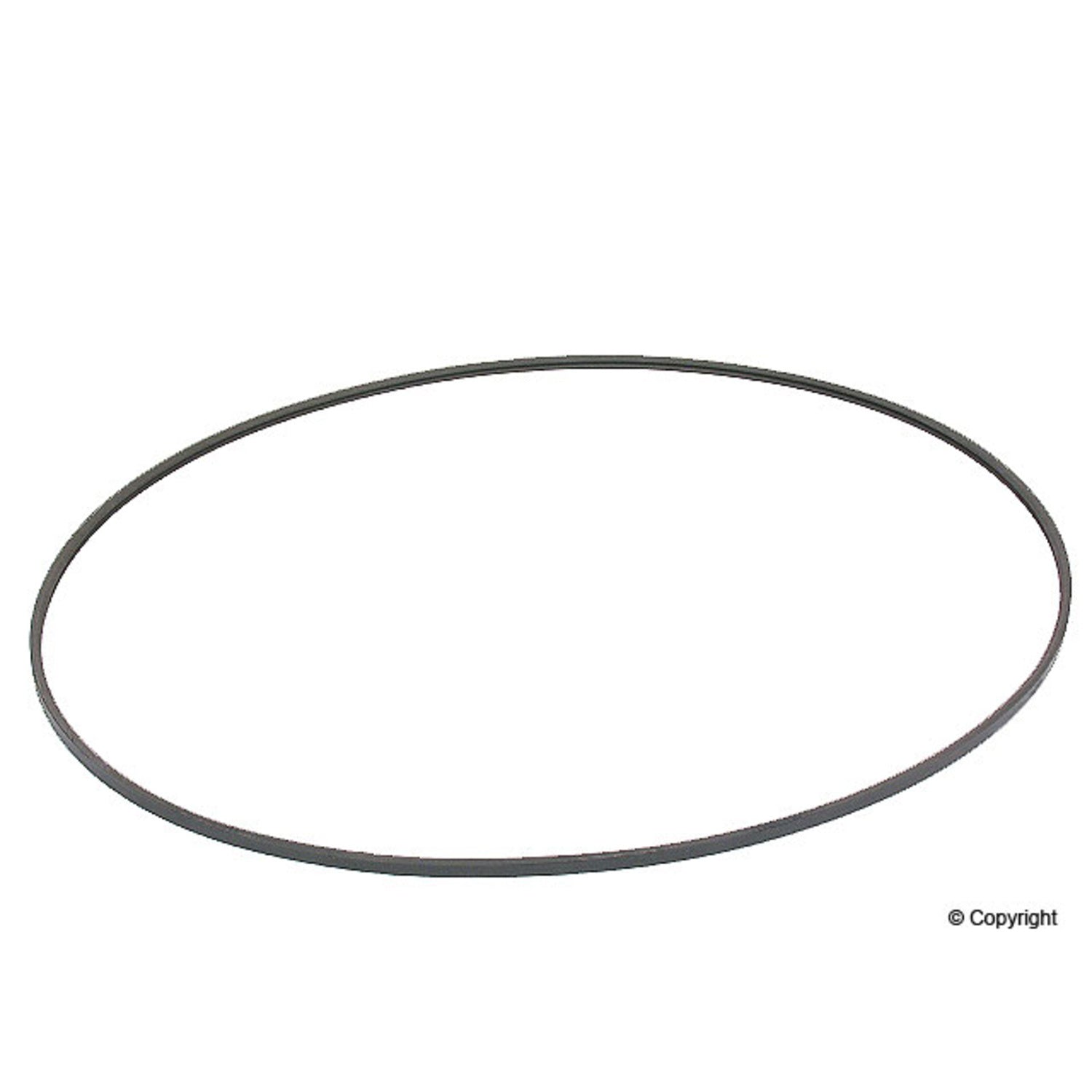 Continental Accessory Drive Belt