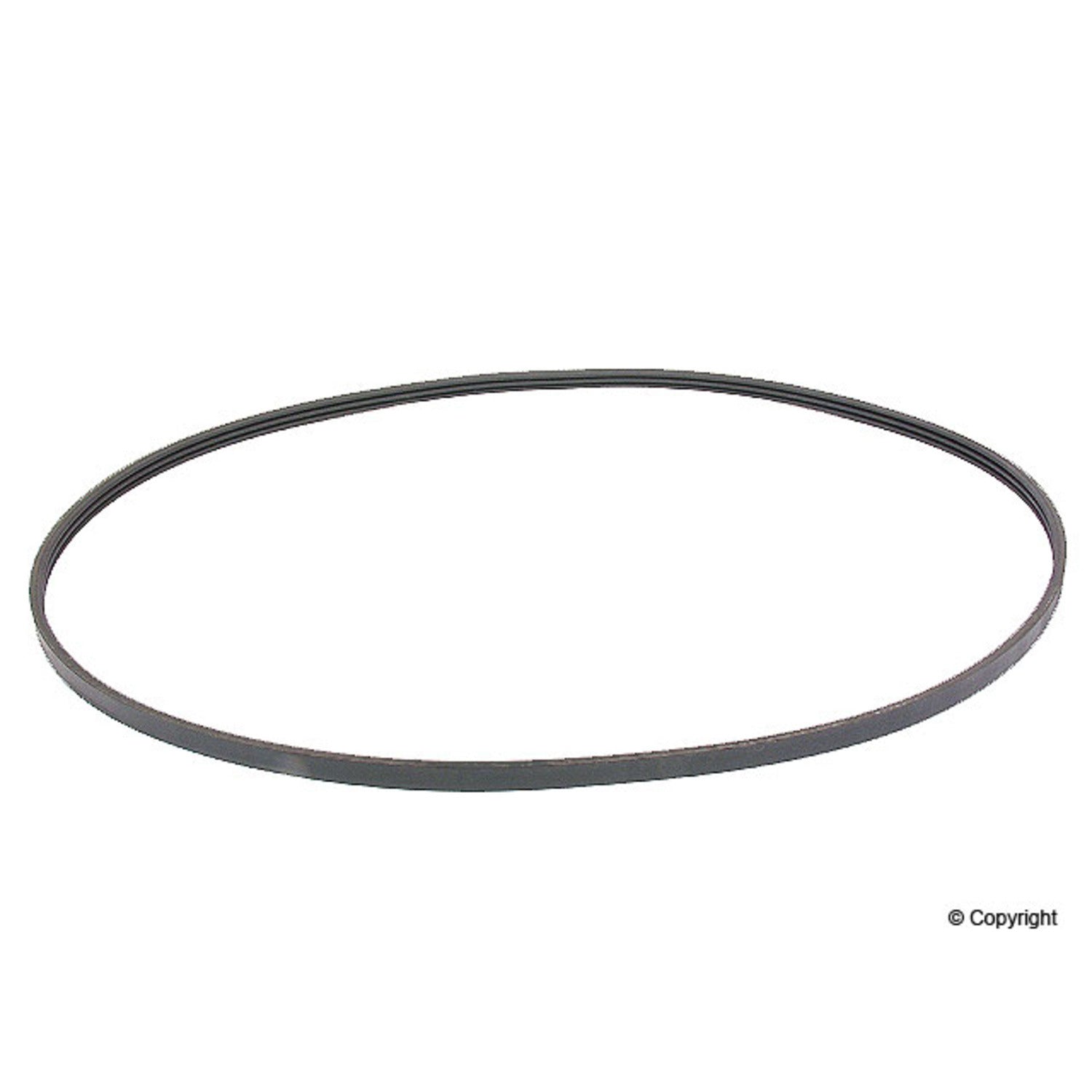 Continental Serpentine Belt