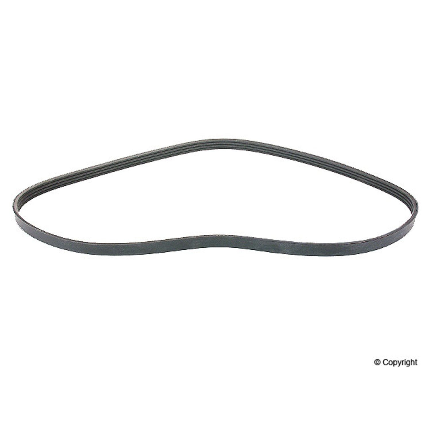Continental Serpentine Belt
