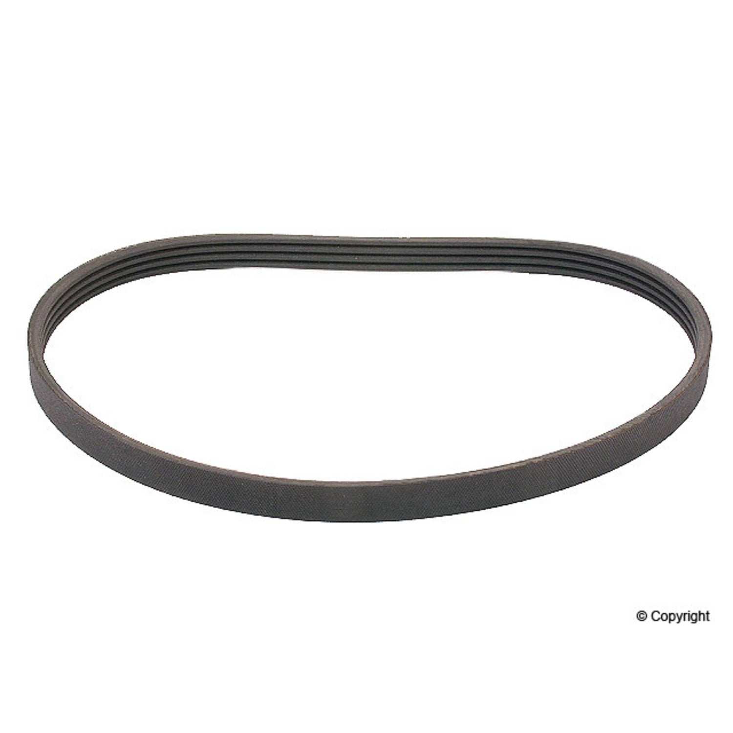 Continental Serpentine Belt