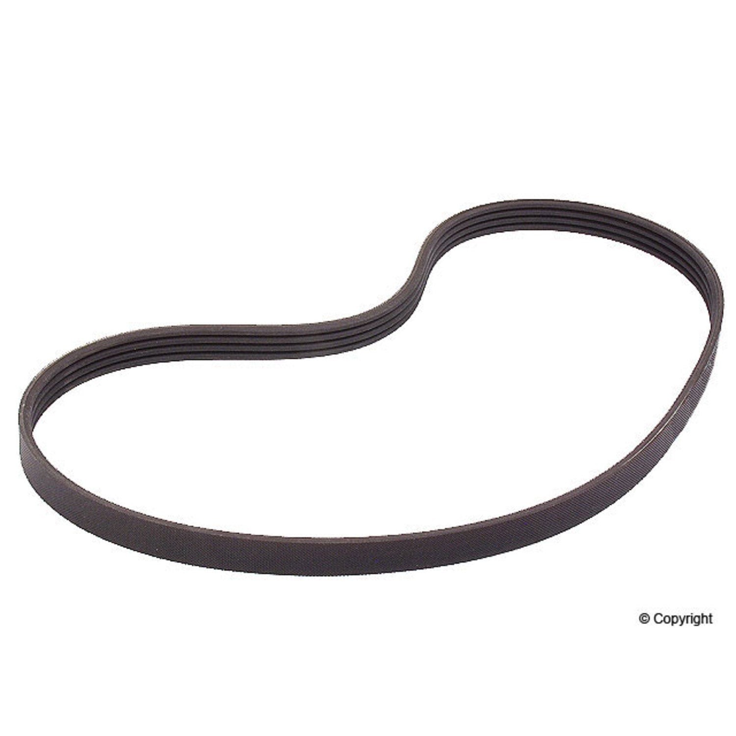 Continental Serpentine Belt