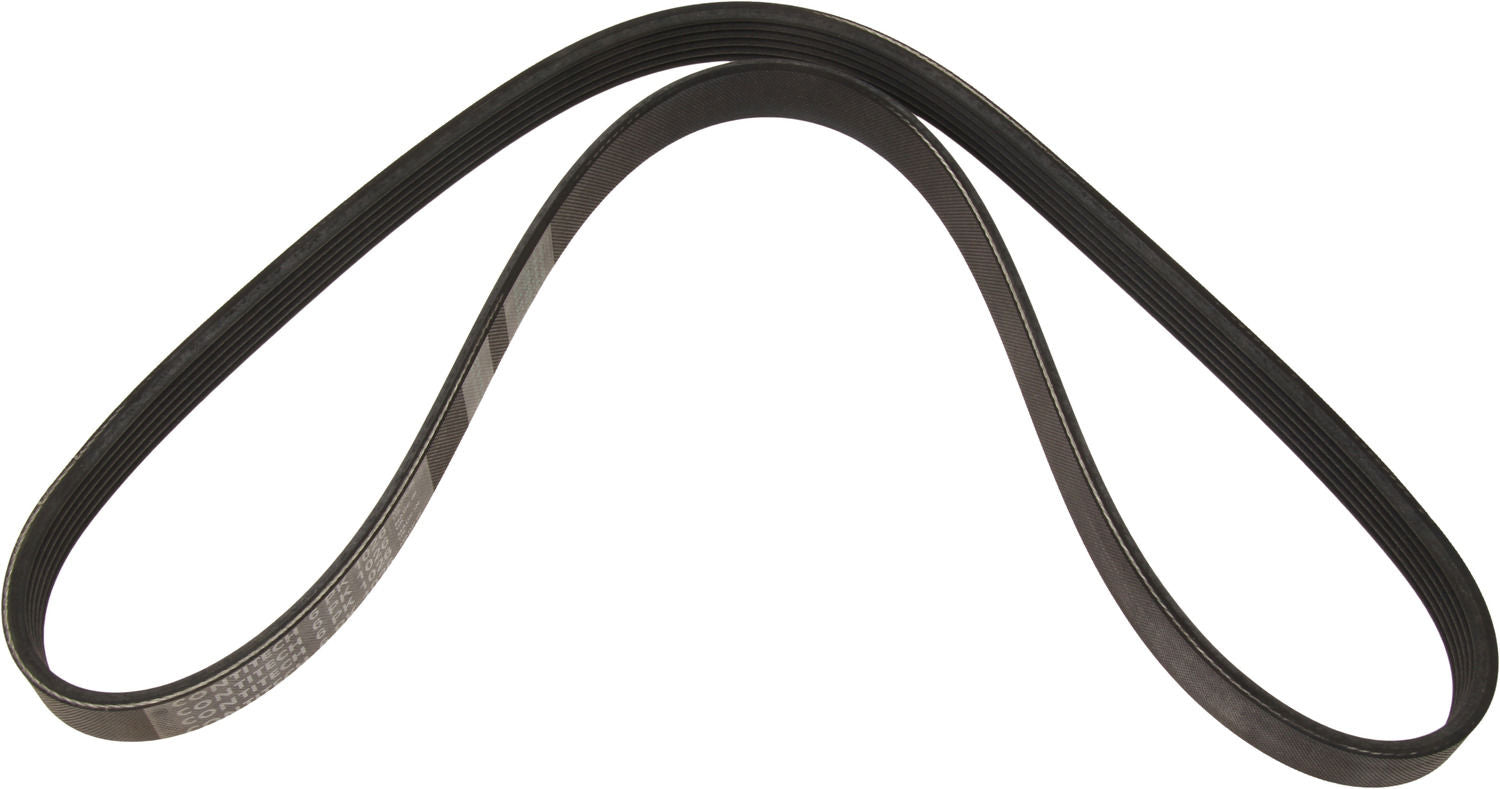 ContiTech Serpentine Belt