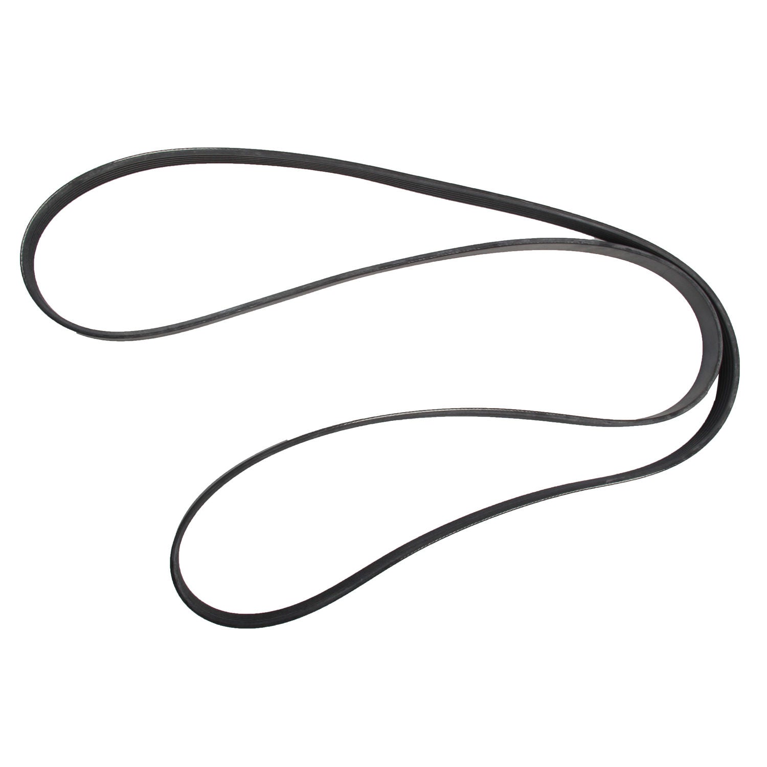 ContiTech Serpentine Belt
