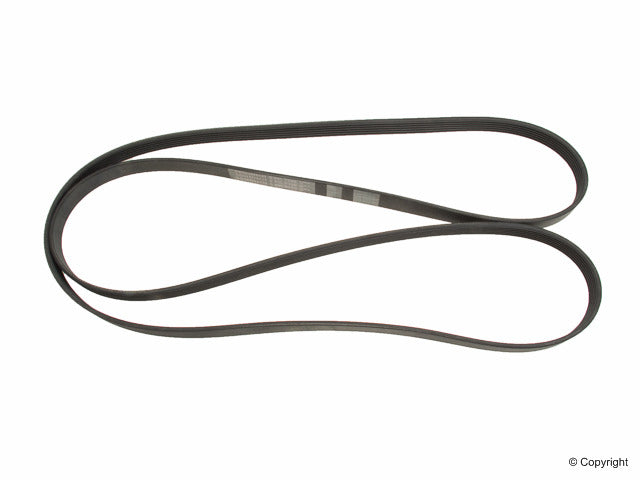 ContiTech Serpentine Belt