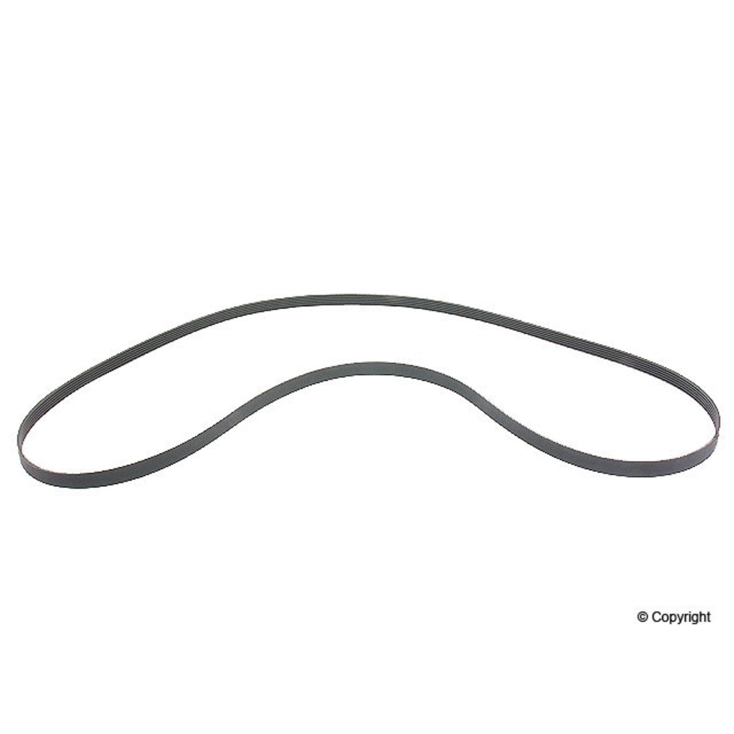 ContiTech Serpentine Belt