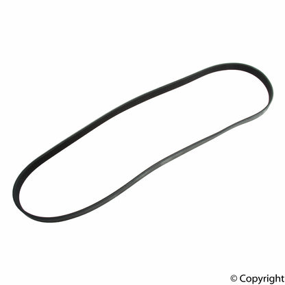 Continental Serpentine Belt