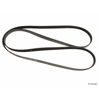 ContiTech Serpentine Belt
