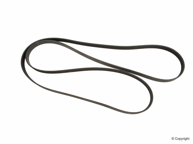 ContiTech Serpentine Belt