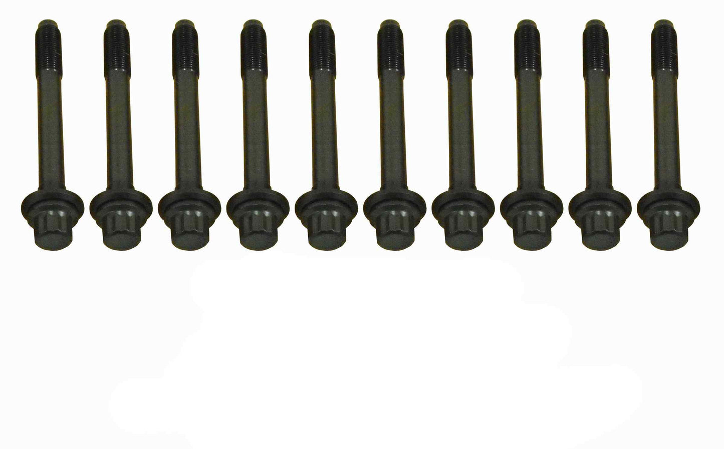 CRP 81024100