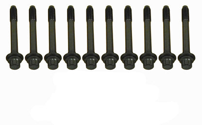 CRP 81024100