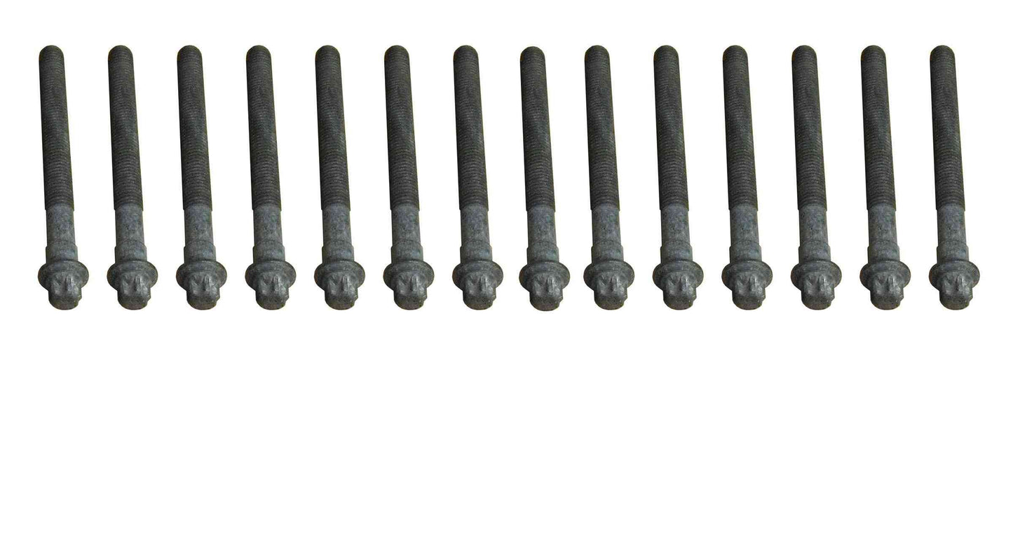 CRP 81027600