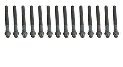 CRP 81027600