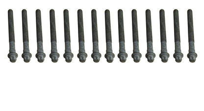 CRP 81027600