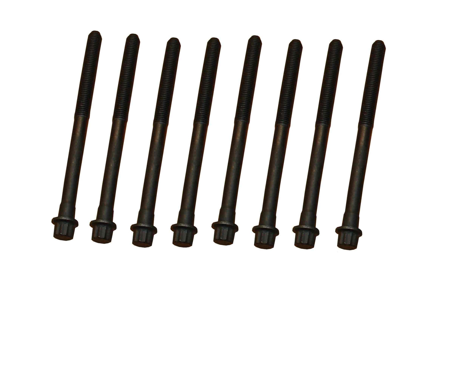 CRP 81050100