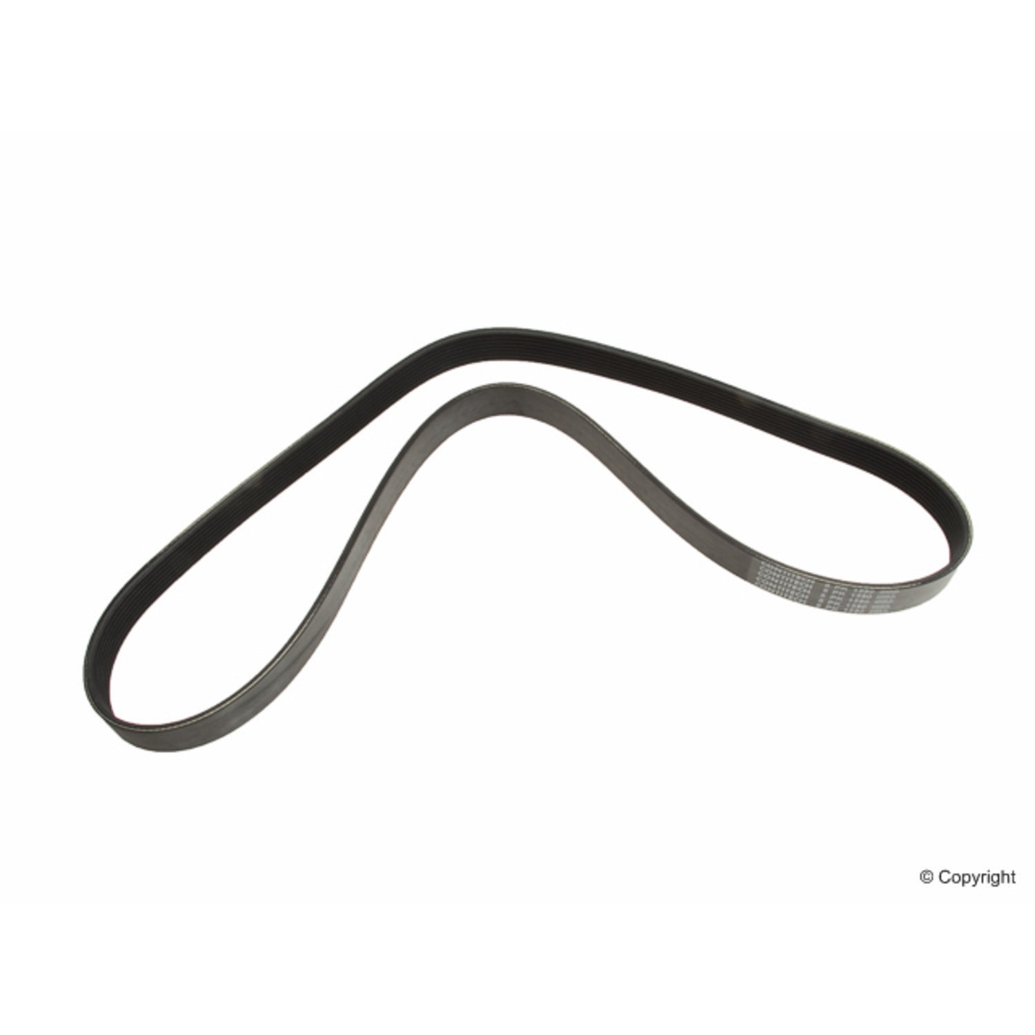 ContiTech Serpentine Belt