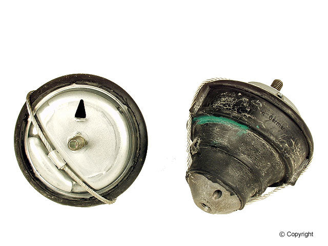 Rein Engine Mount