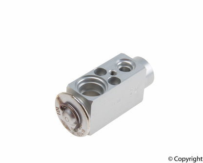 Rein A/C Expansion Valve