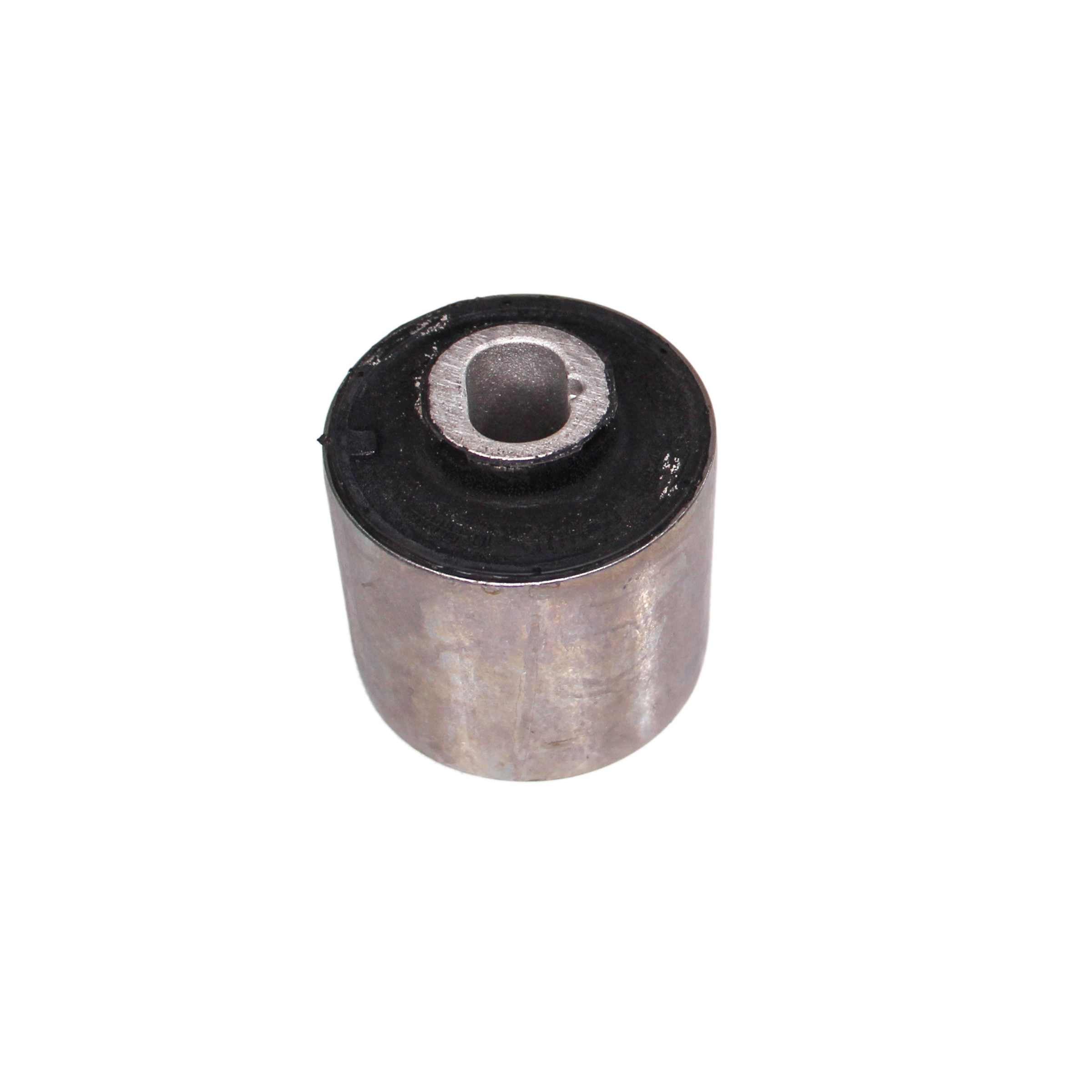 Rein Suspension Control Arm Bushing AVB0264P