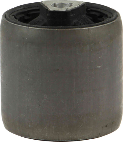 Rein Suspension Control Arm Bushing AVB0446