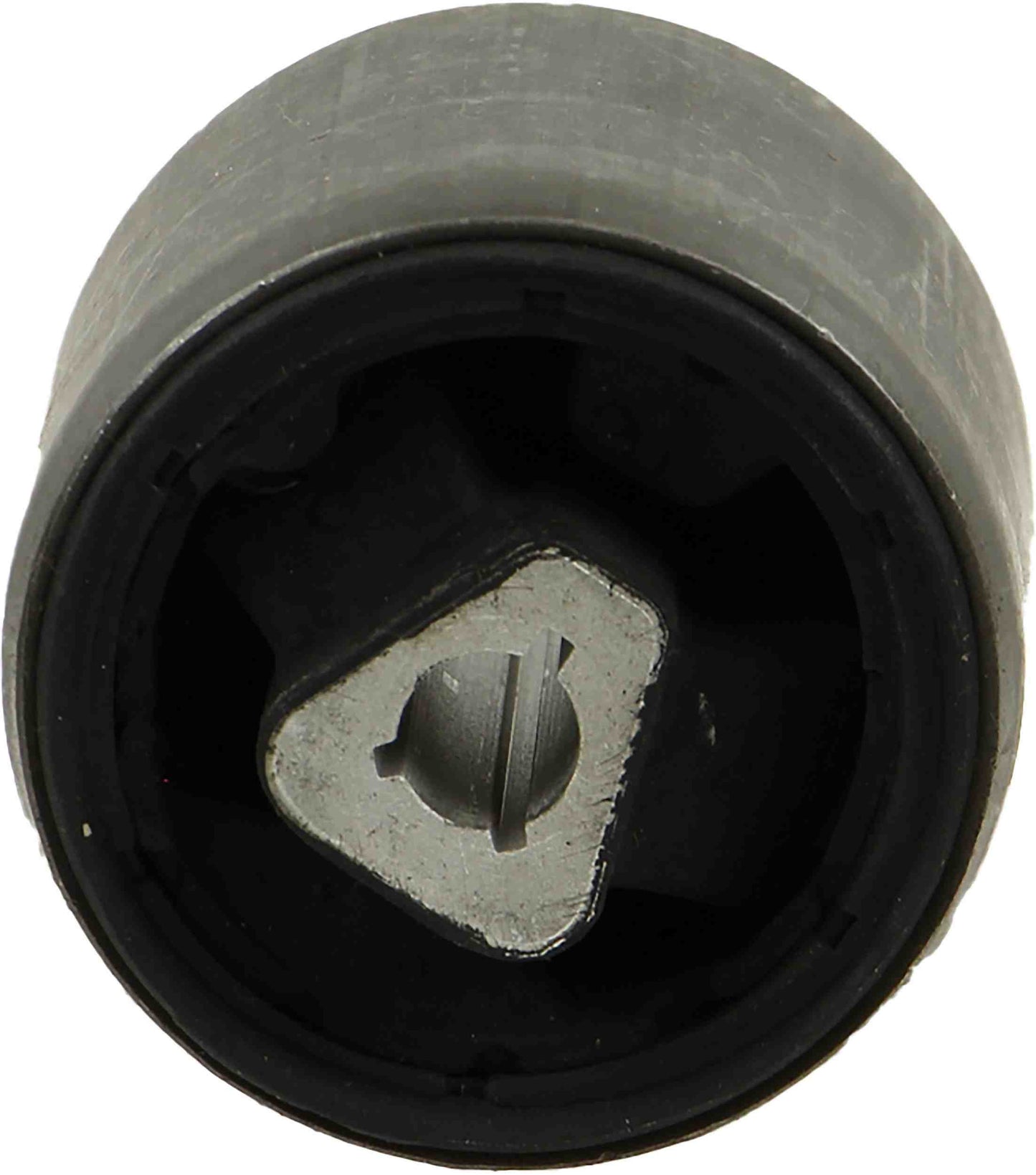 Rein Suspension Control Arm Bushing AVB0446