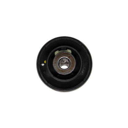 Rein Suspension Control Arm Bushing