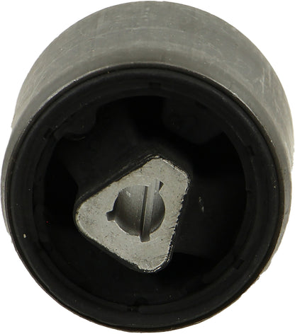 Rein Suspension Control Arm Bushing AVB0446