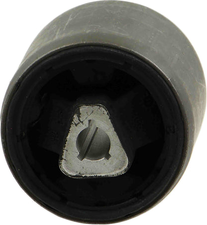 Rein Suspension Control Arm Bushing AVB0446