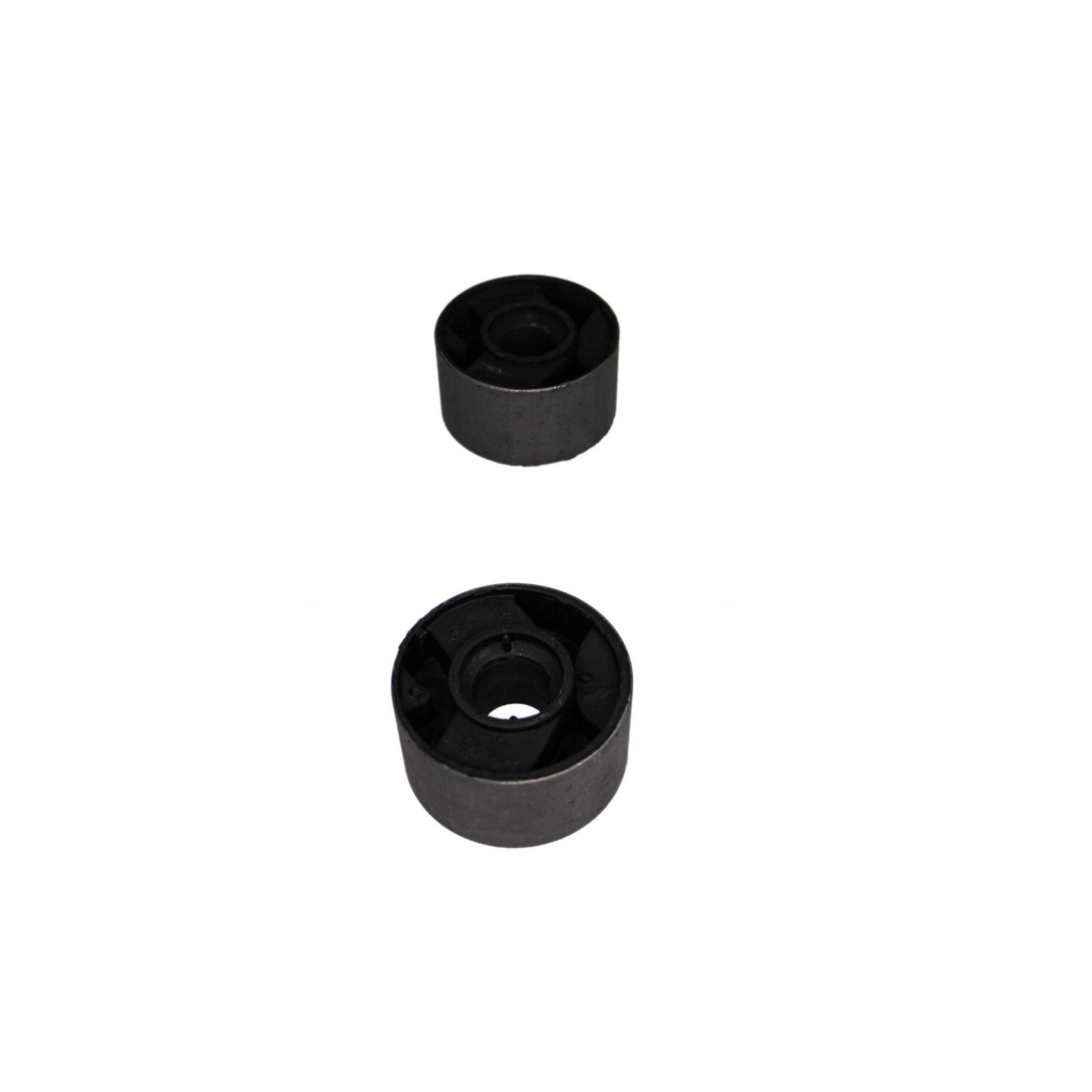 Rein Suspension Control Arm Bushing Kit AVB0484