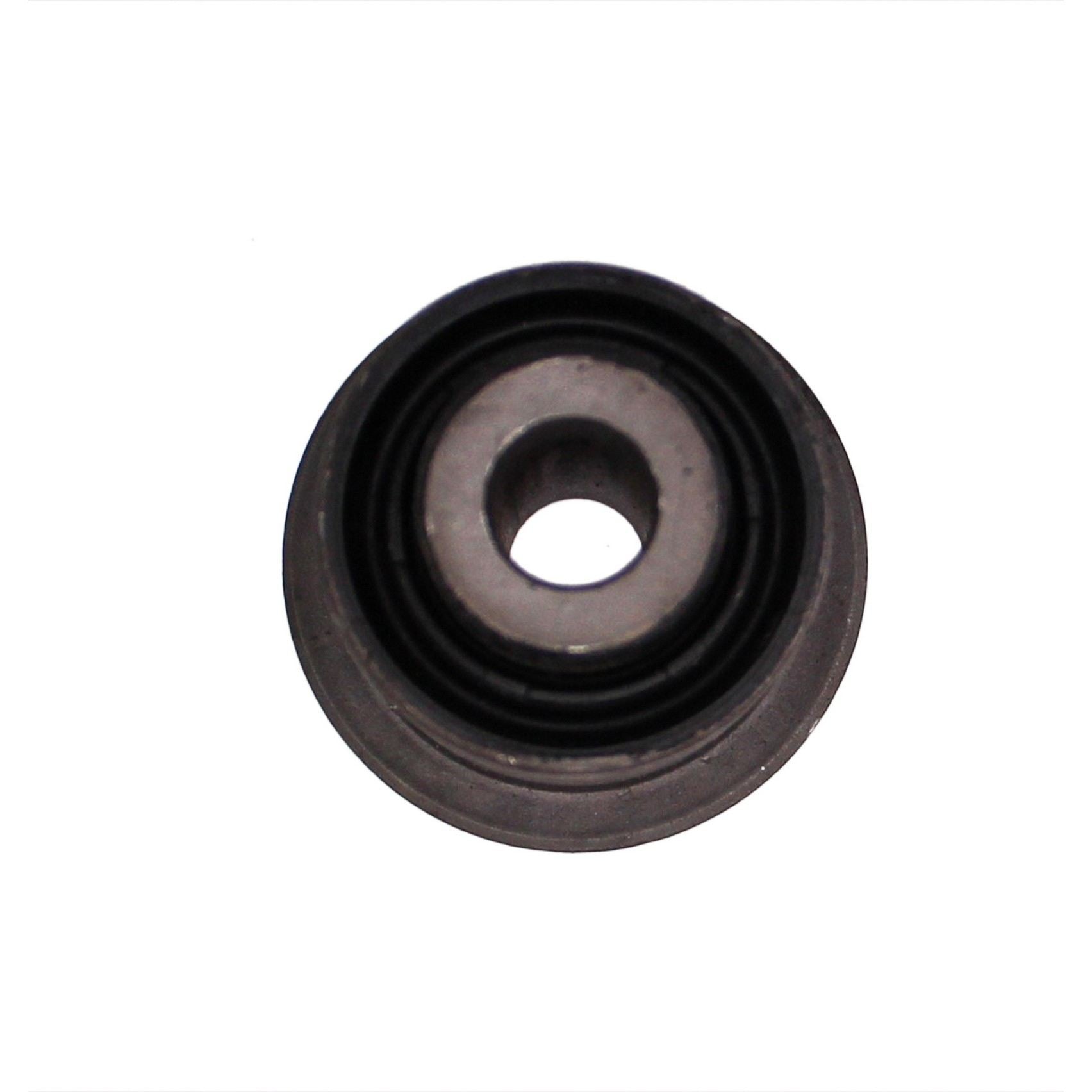 Rein Suspension Control Arm Bushing AVB0572