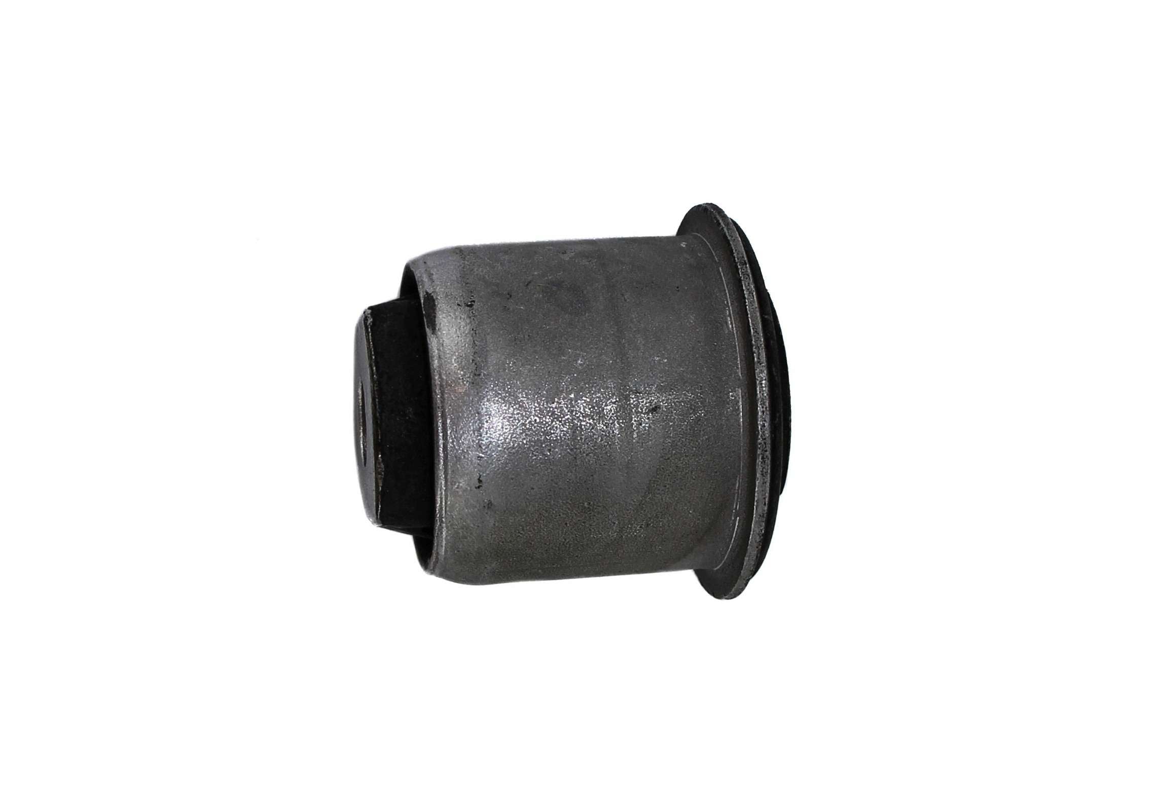 Rein Suspension Control Arm Bushing AVB0595