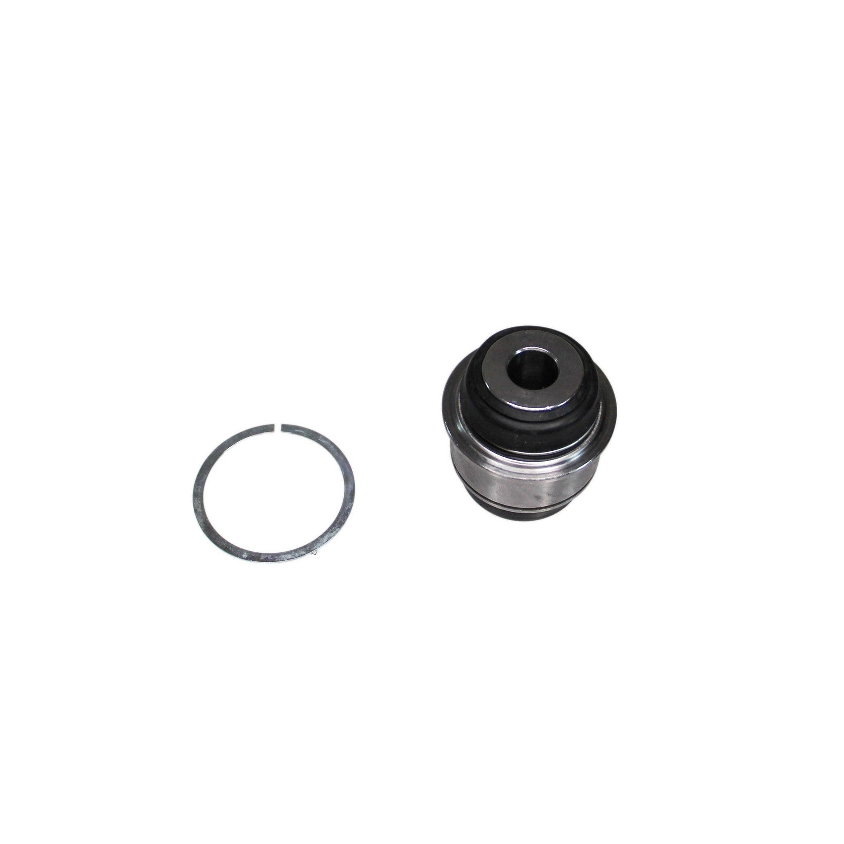 Rein Suspension Control Arm Bushing AVB0647