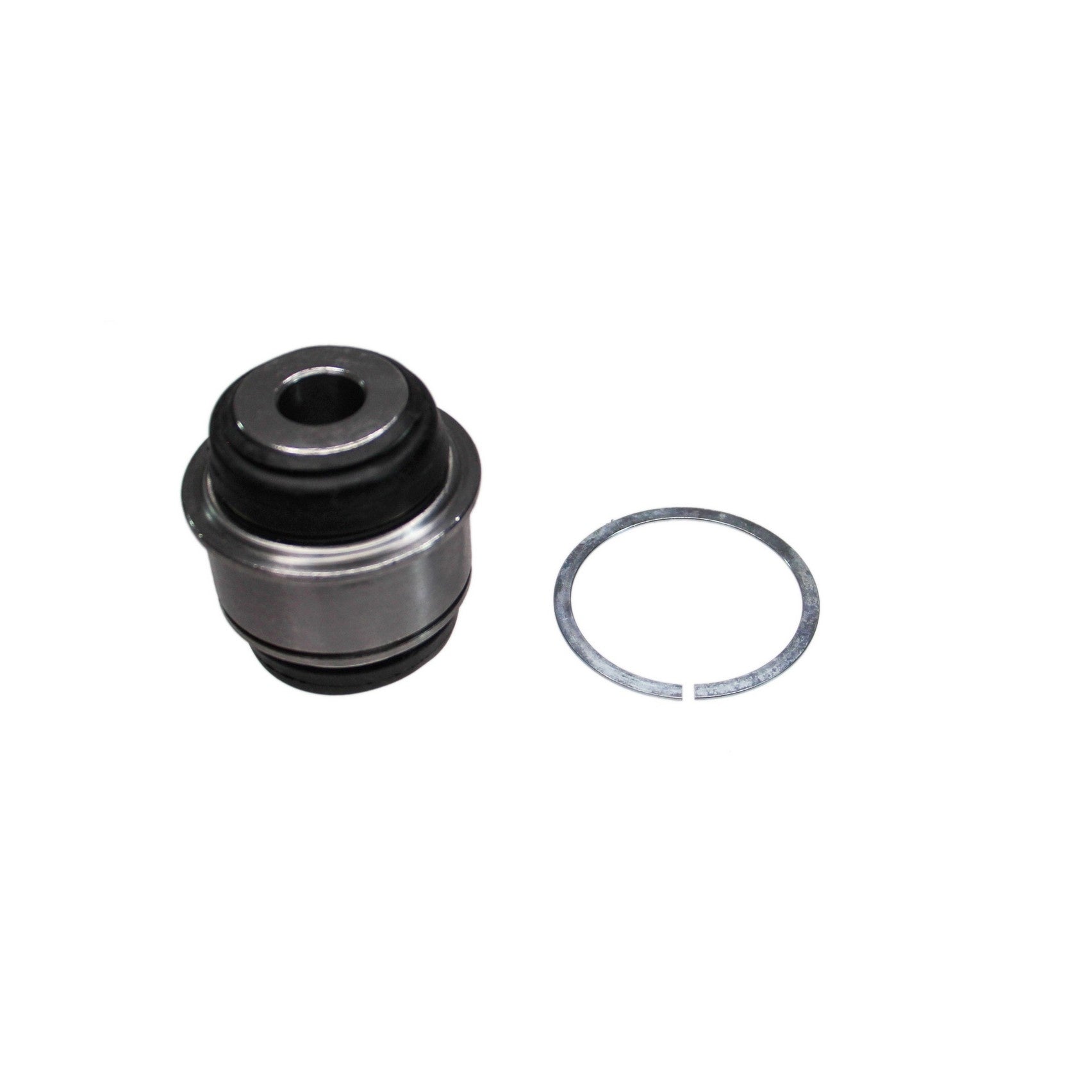 Rein Suspension Control Arm Bushing AVB0647