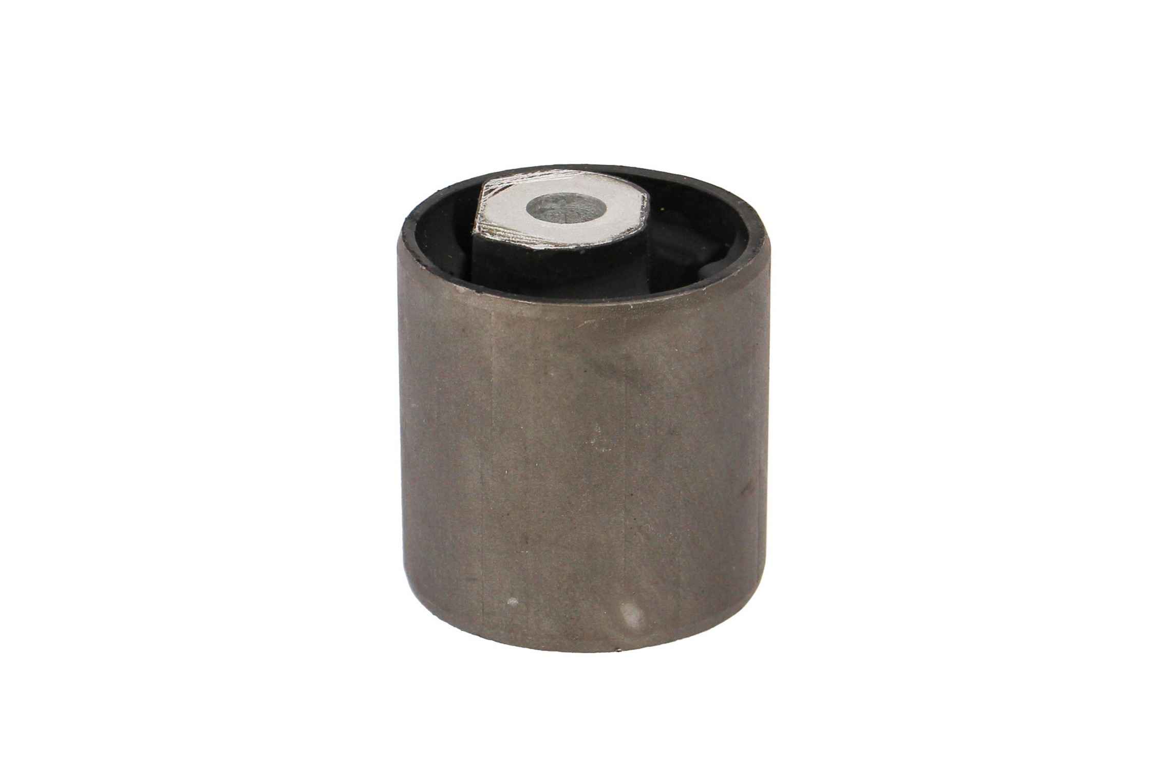 Rein Suspension Control Arm Bushing AVB0652