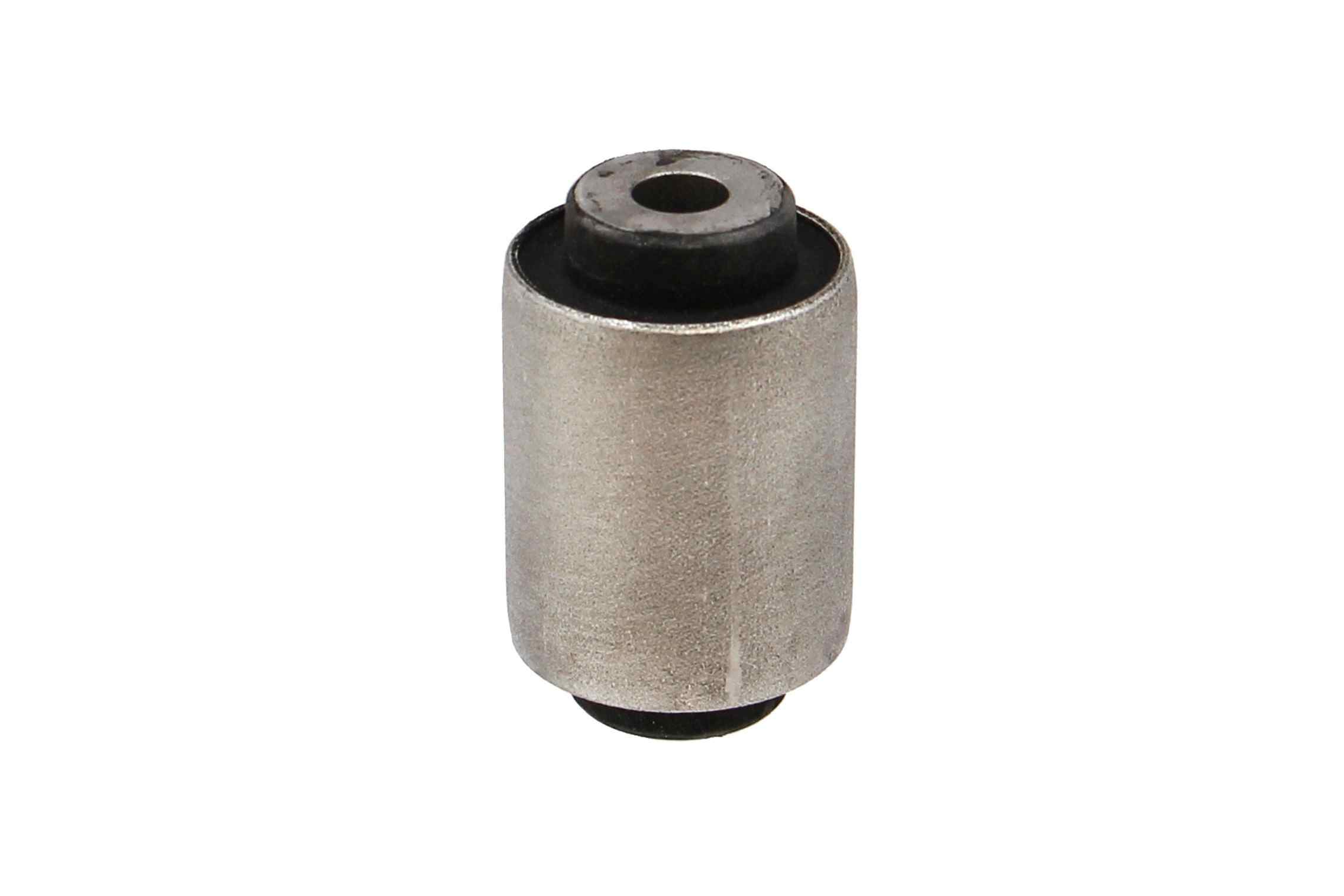 Rein Suspension Control Arm Bushing AVB0668