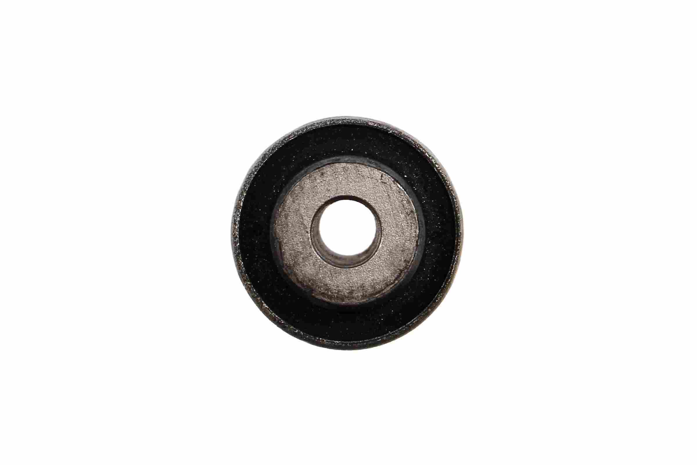 Rein Suspension Control Arm Bushing AVB0668
