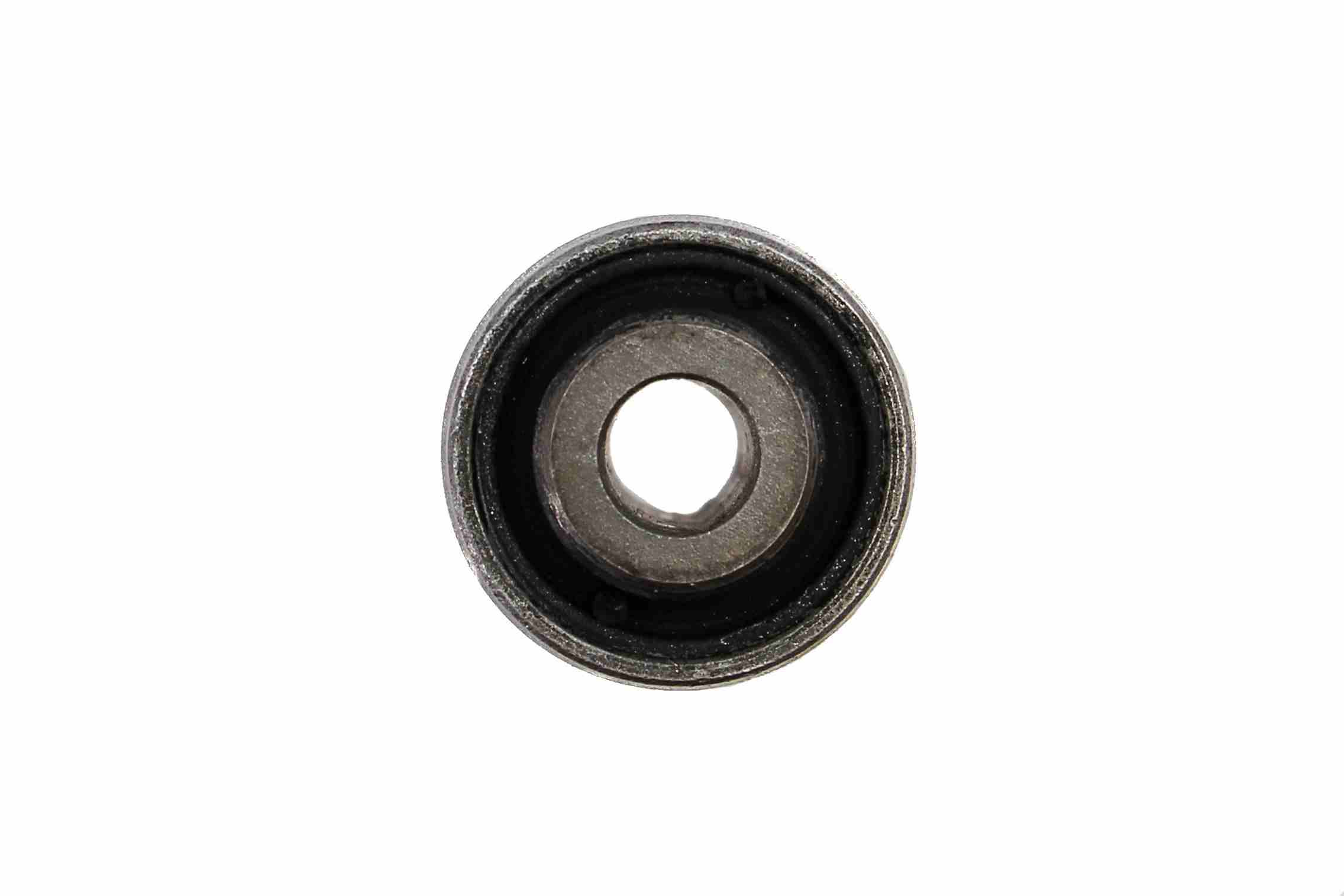 Rein Suspension Control Arm Bushing AVB0669